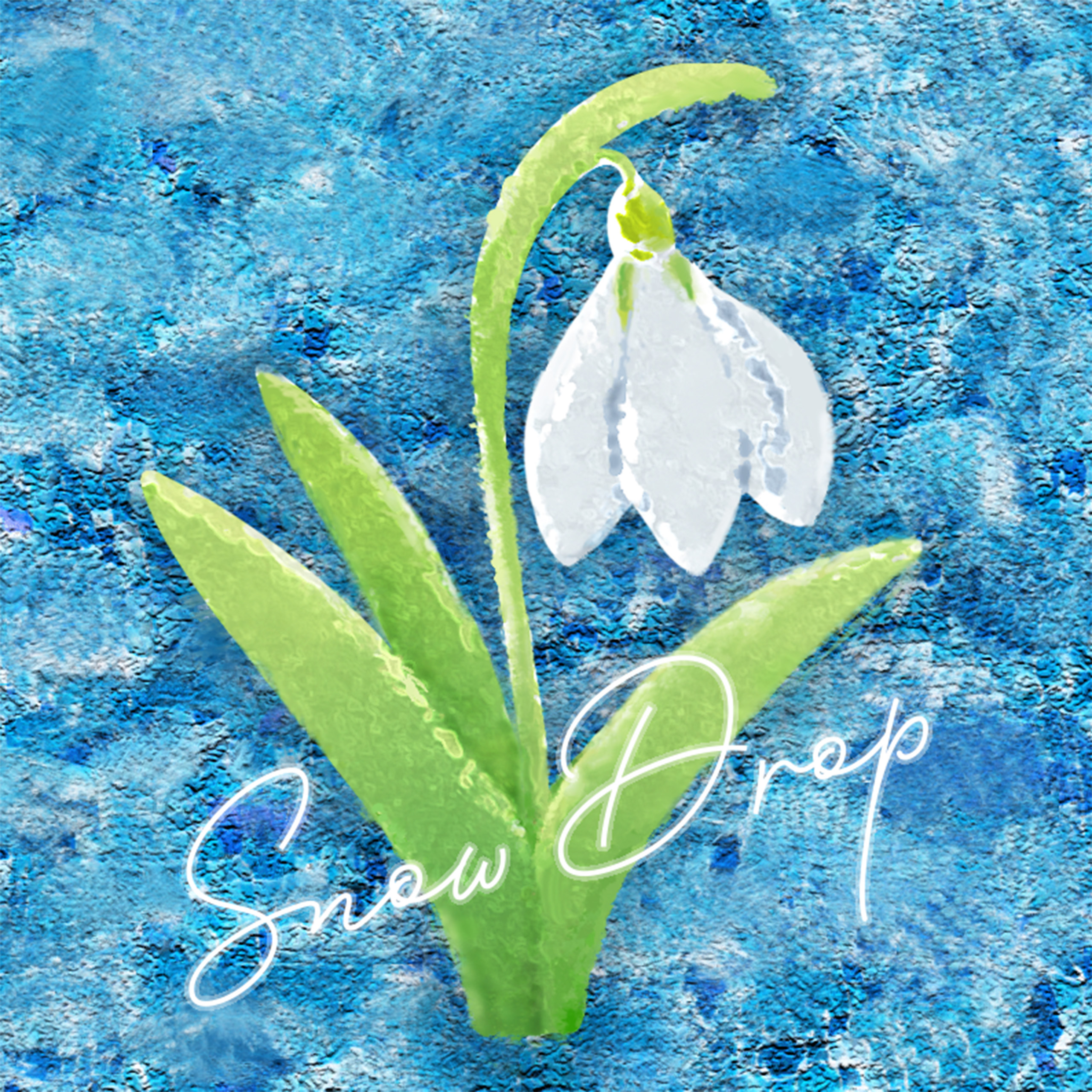 Snow Drop